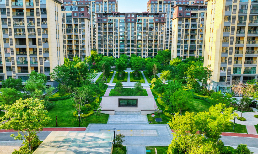 DJI_0269_副本.jpg