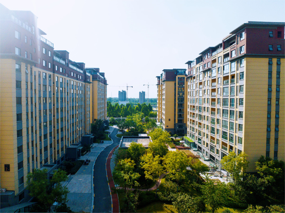 DJI_0611_副本.jpg